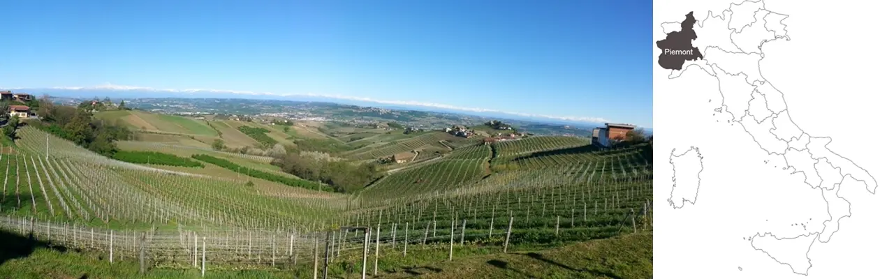 Weinbauregion Piemont