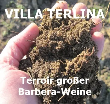 villa terlina barbera gradale monsicuro